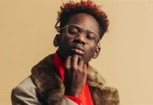 Mr Eazi Biography: Real Name, Age, Songs and Career Mr Eazi Biography: Real Name, Age, Songs and Career