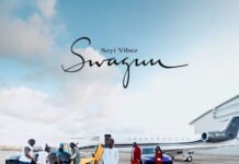 Seyi Vibez – SWAGUU (Album) Seyi Vibez - SWAGUU (Album)